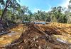 Kerusakan Lingkungan yang di akibatkan Penambangan Ilegal Oleh Perusahaan Siluman di Distrik Airu Kabupaten Jayapura , foto : Yusuf , Jeratpapua.org
