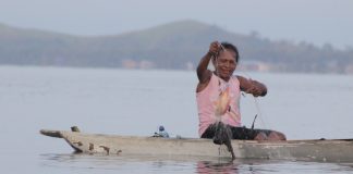 Salah satu Nelayan Ibu. Tresia Suebu Okoka di Danau Sentani yang sedang menarik Jaring dan mengangkat ikan, foto : nesta/jerat.org