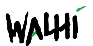 Logo Walhi, foto : ist