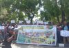 Aksi Demo Masyarakat Adat Lembah Grime Nawa terkait Pencabutan Izin Pengelolaan Kawasan Oleh Pemkab Jpr, foto : wayan /jeratpapua.org