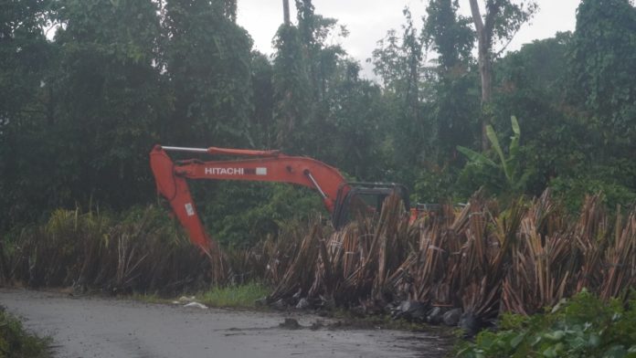 Salah satu Alat Berat Milik Perusahaan Perkebunan Sawit PT PNM yang terparkir di Lahan Masyarakat Adat, foto : Betahita.id/jeratpapua.org