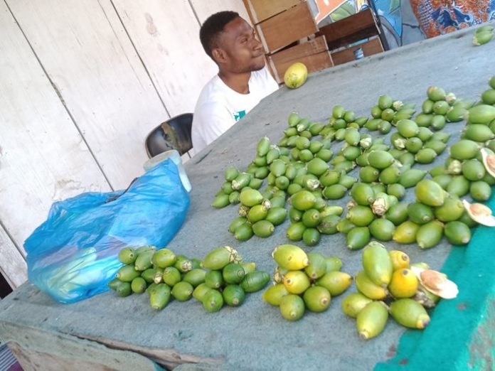 Salah satu Bapak Pedagang Pinang di Expo Waena , foto ; wayan/jeratpapua.org
