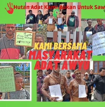 Masyarakat Adat Awyu Menolak adanya Investasi Sawit di Tanah Mereka, foto : nesta /jeratpapua.org
